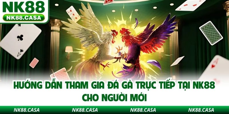Hướng dẫn tham gia đá gà trực tiếp tại NK88 cho người mới