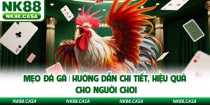 Mẹo Đá Gà | Hướng Dẫn Chi Tiết, Hiệu Quả Cho Người Chơi